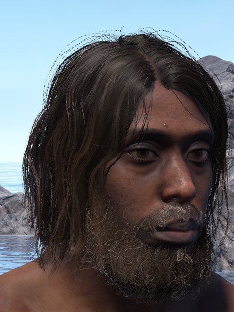 african male, mid-length hair, full beard