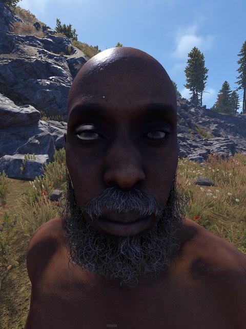 african male, shaved head, full beard